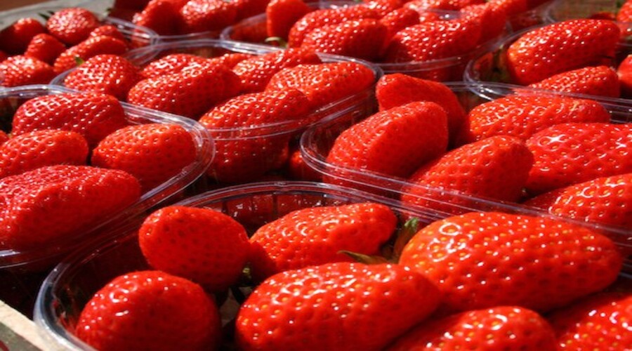 Soins du corps avec de la fraise